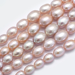 Chardon Brins de perles de culture d'eau douce naturelles, Diplômé, chardon, 5~12x4~9mm, Trou: 0.8mm, Environ 62 pcs/chapelet, 15.7 pouce