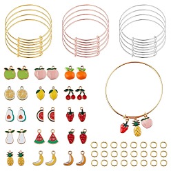 Mixed Color DIY Bangle Making Kits, with Fruits Alloy Enamel Pendants and Adjustable Brass Expandable Bangle Makings, Mixed Color, 3/4 inch(70mm), 2mm, 12pcs/set