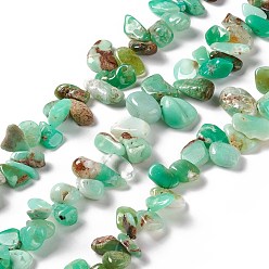 Australia Jade Natural Chrysoprase Beads Strands, Nuggets, 9~23.5x8~16x5.5~8mm, Hole: 1mm, about 64pcs/strand, 16.14~16.54 inch(41~42cm)