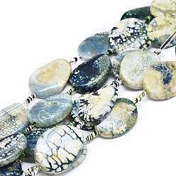 Cadet Blue Natural Fire Crackle Agate Beads Strands, Dyed & Heated, Oval, Cadet Blue, 38~40x27~30x5~7mm, Hole: 1.8mm, about 8pcs/Strand, 15.16 inch(38.5cm)