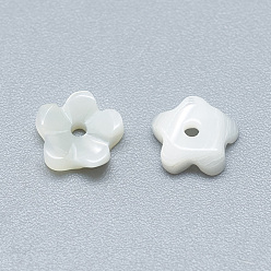Coquillage De Mer Perles naturelles de coquillages blancs, perles en nacre, fleur, couleur de coquillage, 5.5x6x2mm, Trou: 1mm