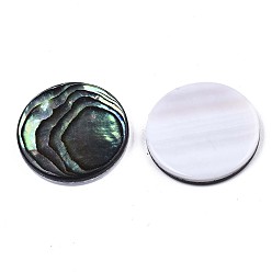 Colorful Natural Abalone Shell/Paua Shell Cabochons, with Freshwater Shell, Flat Round, Colorful, 20x3mm