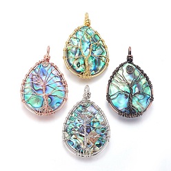 Mixed Color Abalone Shell/Paua ShellWire Wrapped Big Pendants, with Brass Findings, teardrop, with Tree, Mixed Color, 55.5~57.5x34.5~35.5x7.5~9.5mm, Hole: 4.5x5.5mm