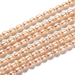 PeachPuff Natural Cultured Freshwater Pearl Beads Strands, Rice, Dyed, PeachPuff, 5~7x4mm, Hole: 0.6mm, about 60pcs/strand, 14.17 inch(36cm)