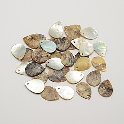 Color Canela Encantos de concha de akoya natural de lágrima plana, colgantes de concha de madreperla, bronceado, 15.5~16x12x1~1.5 mm, agujero: 1 mm, sobre 720 unidades / bolsa