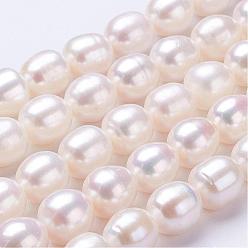 Seashell Color Natural Cultured Freshwater Pearl Beads Strands, Oval, Seashell Color, 10~11x9~10mm, Hole: 0.5mm, about 35~37pcs/strand, 15.5 inch~15.7 inch