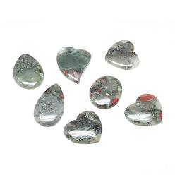 Sanguinaria Piedra natural colgantes de piedra, forma mixta, 40~61x33~45x7~7.5 mm, agujero: 2 mm