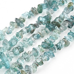 Apatite Perles naturelles apatite brins, puce, 5~13x3~8mm, Trou: 0.6mm, 33~33.4 pouce (84~85 cm)