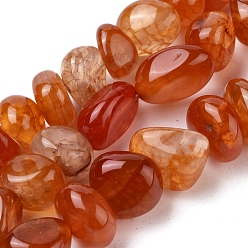 Orange Red Natural Agate Beads Strands, Tumbled Stone, Dyed & Heated, Nuggets, Orange Red, 8~16x9~13x9~12mm, Hole: 1.4mm, about 36~42pcs/strand, 14.96 inch(38.0cm)