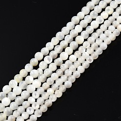 Coquillage Blanc Brins de perles de coquillage blanc naturel, ronde, 2~2.5mm, Trou: 0.6mm, Environ 172~173 pcs/chapelet, 14.57 pouces ~ 14.69 pouces (37~37.3 cm)