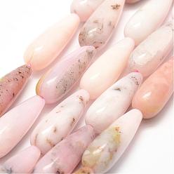 Pink Opal Natural Pink Opal Beads Strands, teardrop, 30x10mm, Hole: 2mm, about 11pcs/strand, 15.7 inch(40cm)