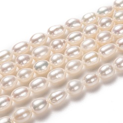 Bisque Natural Cultured Freshwater Pearl Beads Strands, Rice, Bisque, 7~8x6mm, Hole: 0.7mm, about 50pcs/strand, 15.35 inch(39cm)