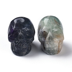 Fluorite Natural Fluorite Home Display Decorations, for Halloween, Skull, 38x32x51mm