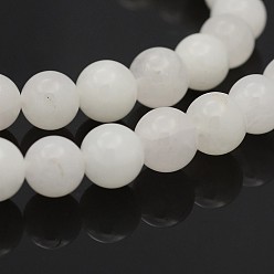 Jade Blanc Rondes naturelle de jade blanc rangées de perles, 6mm, Trou: 1mm, Environ 65 pcs/chapelet, 15.7 pouce