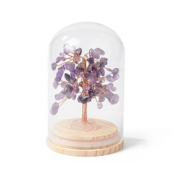 Amethyst Natural Amethyst Chips Money Tree in Dome Glass Bell Jars with Wood Base Display Decorations, for Home Office Decor Good Luck, 71x114mm