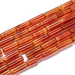 Red Natural Carnelian Beads Strands, Dyed & Heated, Column, Red, 11.5~14.5x4~4.5mm, Hole: 1.4mm, about 29pcs/strand, 15.39 inch(39.1~41cm)