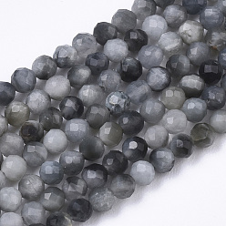 Eagle Eye Stone Natural Hawk's Eye Beads Strands, Eagle Eye Stone, Round, Faceted, 2mm, Hole: 0.6mm, about 150~155pcs/Strand, 15.35 inch(39cm)