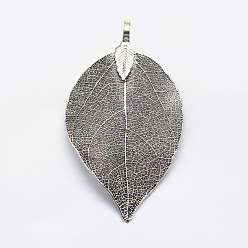 Antique Silver Brass Plated Natural Leaf Big Pendants, Long-Lasting Plated, Leaf, Antique Silver, 52~86x23~46x0.5~3mm, Hole: 3x5.5mm