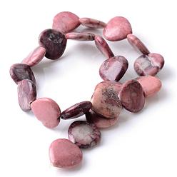 Red Picture Jasper Natural Red Picture Jasper Beads Strands, Heart, 14.5~15.5x15.5~16.5x4mm, Hole: 1.5mm, about 28pcs/strand, 15.35~15.55 inch(39~39.5cm)