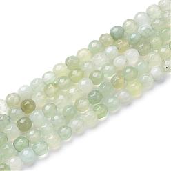 New Jade Natural New Jade Bead Strands, Faceted Round, 6mm, Hole: 1mm, about 70pcs/strand, 15.7 inch
