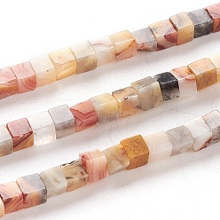 Crazy Agate Natural Crazy Agate Beads Strands, Cube, 4x4x4mm, Hole: 0.7mm, about 93pcs/Strand, 15.75 inch(40cm)