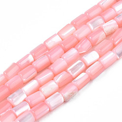 Pink Natural Trochid Shell/Trochus Shell Beads Strands, Dyed, Column, Pink, 4~5x3~3.5mm, Hole: 0.9mm, about 77~78pcs/strand, 15.55 inch~15.75 inch(39.5~40cm)