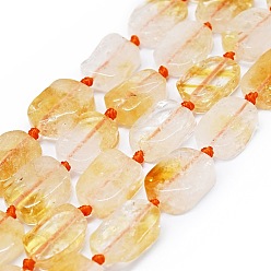 Citrine Natural Citrine Beads Strands, Rectangle, 14~17x11~13x5~6mm, Hole: 1mm, about 21~23pcs/strand, 15.75~16.14 inch(40~41cm)