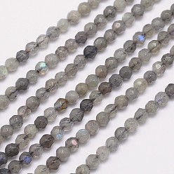 Labradorite Faceted Round Natural Labradorite Bead Strands, 3mm, Hole: 1mm, about 124pcs/strand, 15.5 inch