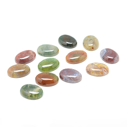 Agate Indienne Cabochons naturels de pierre gemme d'agate indienne, ovale, 14x10x5mm