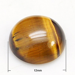 Tiger Eye Gemstone Cabochons, Half Round/Dome, Natural Tiger Eye, 12x5mm