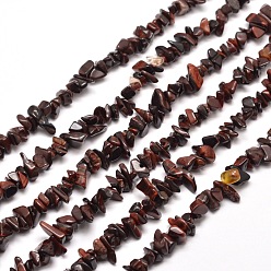 Tiger Eye Natural Tiger Eye Chip Bead Strands, Dyed & Heated, 5~8x5~8mm, Hole: 1mm, about 31.5 inch