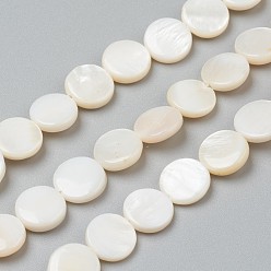 Freshwater Shell Natural Freshwater Shell Beads, Flat Round, 10x3~6mm, Hole: 0.5mm, about 39pcs/strand, 15.16 inch(38.5cm)