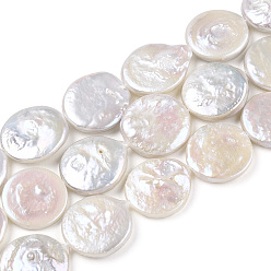Coquillage De Mer Brins de perles de keshi naturelles baroques, perle d'eau douce, plat rond, couleur de coquillage, 15~17x15~16x2.5~6mm, Trou: 0.6mm, Environ 20~23 pcs/chapelet, 14.96 pouce (38 cm)