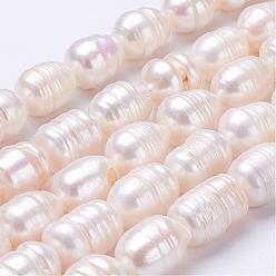 Linen Natural Cultured Freshwater Pearl Beads Strands, Oval, Linen, 11~19x9~10mm, Hole: 0.5mm, about 27~28pcs/strand, 13.8 inch