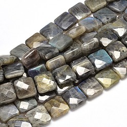 Labradorite Natural Labradorite Square Bead Strands, Faceted, 12x12x6mm, Hole: 1mm, about 34pcs/strand, 15.74 inch