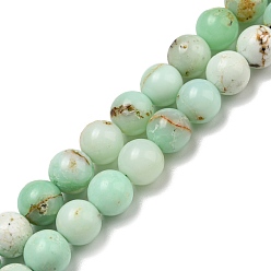 Opale Verte Naturel, vert opale brins de perles, teint, ronde, 8mm, Trou: 0.8mm, Environ 48~49 pcs/chapelet, 15.35~15.59'' (39~39.6 cm)