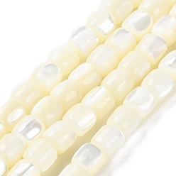 Blanc Floral Brins de perles de coquillages naturels de troca, baril, floral blanc, 5.5x5.5mm, Trou: 1mm, Environ 69 pcs/chapelet, 15.55'' (39.5 cm)