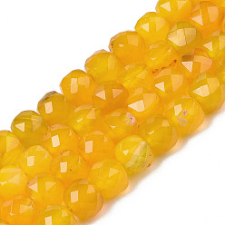 Goldenrod Natural Agate Beads Strands, Faceted, Dyed, Faceted, Cube, Goldenrod, 5x5.5x5.5mm, Hole: 1mm, about 61~62pcs/strand, 12.20 inch~12.40 inch(31~31.5cm)