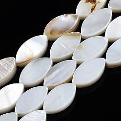 Seashell Color Natural Freshwater Shell Beads Strands, Horse Eye, Seashell Color, 10x5x2mm, Hole: 1mm, about 40pcs/strand, 15.43''(39.2cm)