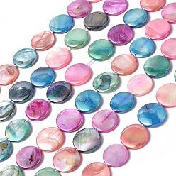 Colorido Cuentas de concha de perla natural hebras, teñido, color de ab chapado, plano y redondo, colorido, 15x2~3 mm, agujero: 1 mm, sobre 25~26 unidades / cadena, 14.57 pulgada (37 cm)
