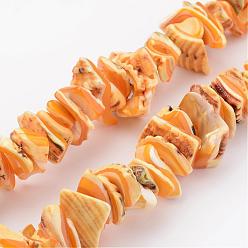 Orange Shell normal de perles brins, teint, nuggets, orange, 10~20x8~12x3~6mm, Trou: 1mm, environ 15.7 pouce
