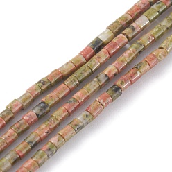 Unakite Natural Unakite Beads Strands, Column, 2x2mm, Hole: 0.8mm, about 154~160pcs/strand, 15.16~15.75 inch(38.5~40cm)