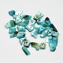 Dark Cyan Dyed Natural Shell Nuggets Chips Beads, Dark Cyan, 11~16x6~9mm, Hole: 1mm, about 980pcs/500g