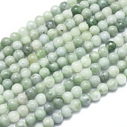 Myanmar Jade Perles de jade du Myanmar naturel / jade birmane, ronde, 4mm, Trou: 0.5mm, Environ 92 pcs/chapelet, 15.75 pouce (40 cm)