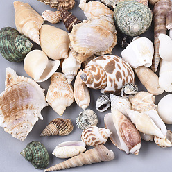 Mixed Color Natural Spiral Shell Pendants, Mixed Color, 20~76x10~53x10~34mm, Hole: 1.2~2mm