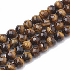 Tiger Eye Natural Tiger Eye Beads Strands, Grade AB+, Round, 10mm, Hole: 1mm, about 37~38pcs/strand, 14.96~15.35 inch(38~39cm)
