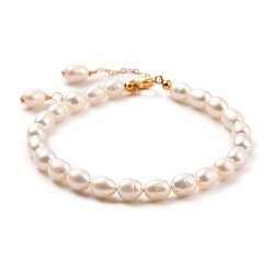 White Natural Cultured Freshwater Pearl Beaded Bracelets, with Brass Cable Chains and 304 Stainless Steel Spring Ring Clasps, White, 7-1/2 inch~7-5/8 inch(19~19.5cm)