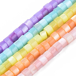 Mixed Color Natural Freshwater Shell Beads Strands, Dyed, Column, Mixed Color, 4x2.5mm, Hole: 0.5mm, about 131~134pcs/strand, 15.16~15.35 inch(38.5~39cm)