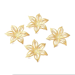 Golden Iron Beads Caps, Etched Metal Embellishments, 6-Petal, Flower, Golden, 36x33x3mm, Hole: 2mm