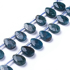 Apatite Natural Apatite Beads Strands, Top Drilled Beads, Faceted, Teardrop, 12~13x8.5x3~4mm, Hole: 0.6mm, about 32pcs/Strand, 15.55 inch(39.5cm)
